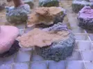 [TodoMarino.com] Una de Corales con colorrrrr!!!