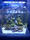 [TodoMarino.com] Mi nano de  90l
