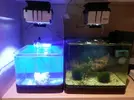 [TodoMarino.com] Sustitucion leds por pls