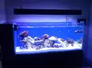 [TodoMarino.com] Necesito consejo - pantalla de leds para un 350 l