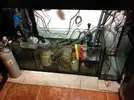 [TodoMarino.com] El lado oscuro