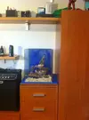 [TodoMarino.com] Primer acuario: NanoReef