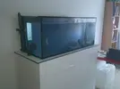 [TodoMarino.com] Mi primer proyecto marino de 300 litros