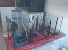 [TodoMarino.com] Mi primer proyecto marino de 300 litros