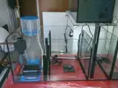 [TodoMarino.com] Mi primer proyecto marino de 300 litros