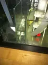 [TodoMarino.com] Empezando mi Open Reef 91L