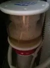 [TodoMarino.com] Empezando mi Open Reef 91L