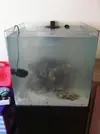 [TodoMarino.com] Empezando mi Open Reef 91L