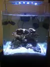 [TodoMarino.com] Empezando mi Open Reef 91L