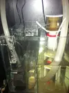 [TodoMarino.com] Empezando mi Open Reef 91L