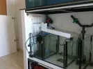 [TodoMarino.com] Mi primer proyecto marino de 300 litros