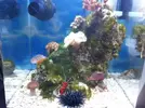 [TodoMarino.com] Mi nano de 32 L