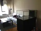 [TodoMarino.com] Finalmente!! 420 Litros + Sump !!!!