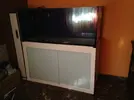 [TodoMarino.com] Reef Island 480L