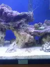 [TodoMarino.com] Presentando mi Nano de 60L.
