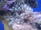 [TodoMarino.com] Presentando mi Nano de 60L.
