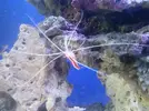 [TodoMarino.com] Presentando mi Nano de 60L.