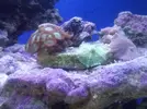 [TodoMarino.com] Presentando mi Nano de 60L.