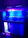 [TodoMarino.com] Reef Island 480L