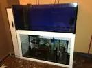 [TodoMarino.com] Reef Island 480L