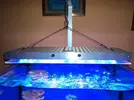 [TodoMarino.com] mai-reef