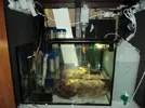 [TodoMarino.com] mai-reef