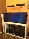 [TodoMarino.com] Reef Island 480L