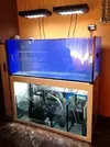 [TodoMarino.com] Reef Island 480L
