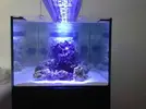 [TodoMarino.com] Finalmente!! 420 Litros + Sump !!!!