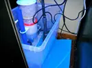 [TodoMarino.com] 216l (sirocco 60X60X60) + sump. Primer proyecto "serio" con ayuda de lujo.
