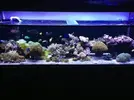 [TodoMarino.com] Princes Reef