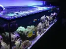 [TodoMarino.com] Princes Reef