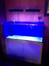 [TodoMarino.com] Me he pasado al led de espectro completo: Mis pantallas buenas bonitas y baratas