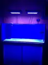 [TodoMarino.com] Me he pasado al led de espectro completo: Mis pantallas buenas bonitas y baratas