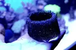 [TodoMarino.com] nuevos en marino y con muchas ganas de compartirlo