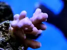 [TodoMarino.com] nuevos en marino y con muchas ganas de compartirlo