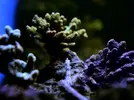 [TodoMarino.com] nuevos en marino y con muchas ganas de compartirlo