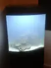 [TodoMarino.com] Sera Marin Biotop LED 130
