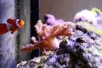 [TodoMarino.com] Pantalla leds MAXSPECT
