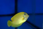 [TodoMarino.com] 14/05 Nuevas fotografías
