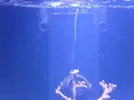 [TodoMarino.com] Reef marino tropical + sump refugio
