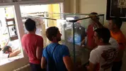 [TodoMarino.com] Cehegín Marine Reef
