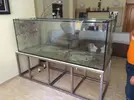 [TodoMarino.com] Cehegín Marine Reef