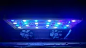 [TodoMarino.com] Open reef blau 91 litros ¿cuantos somos ?