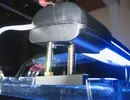 [TodoMarino.com] Mi Nano-Reef de 32L con refugio