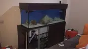 [TodoMarino.com] Mesa con perfiles y forrada de madera
