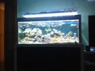 [TodoMarino.com] 72 led
