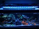 [TodoMarino.com] 72 led