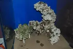[TodoMarino.com] mi nuevo 60x60x60