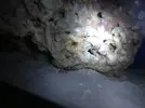 [TodoMarino.com] Q bicho es esto??
